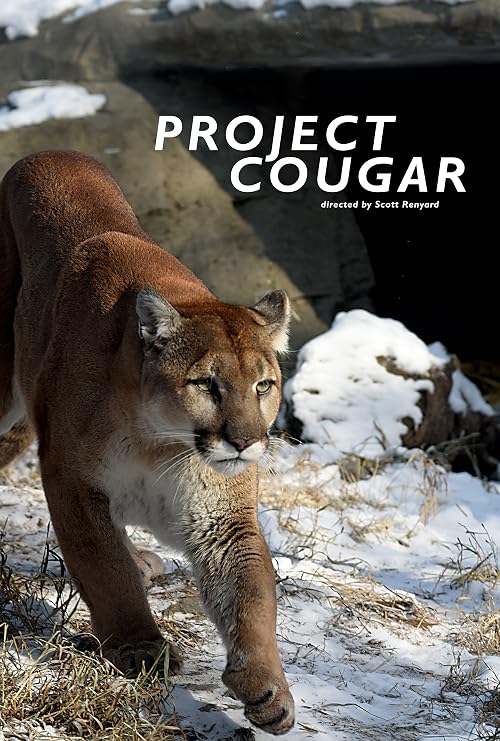 Project Cougar