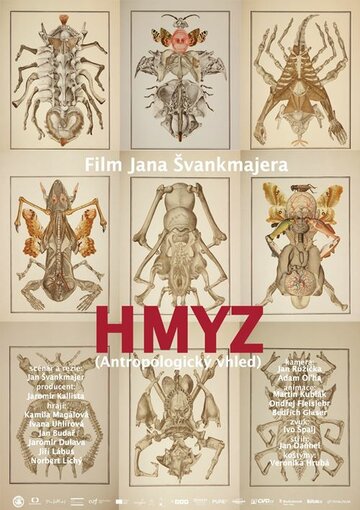 Hmyz