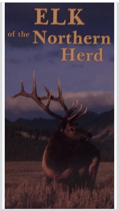Elk of the Northern Herd