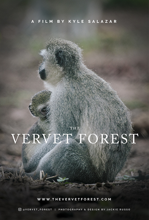 The Vervet Forest