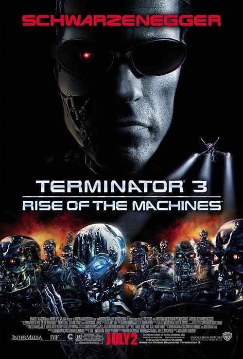 Terminator 3: TerminatorVision