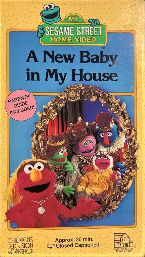 Sesame Street: A New Baby in My House