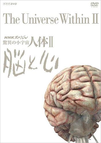 The Universe Within II - The Human Brain and Mind