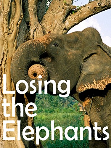 Losing the Elephants