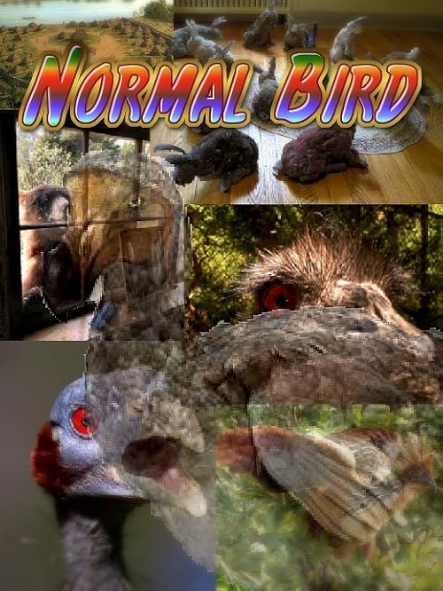 Normal Bird