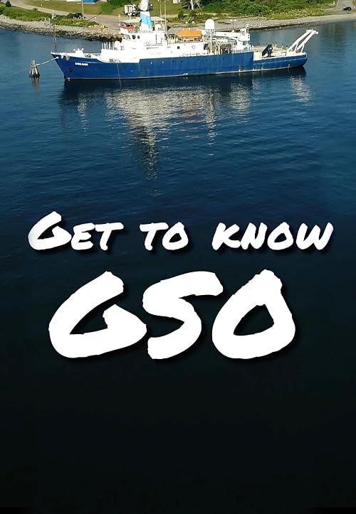 Get to Know GSO