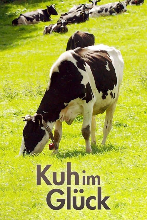 Kuh im Glück