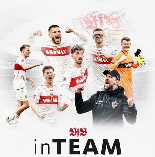 VfB inTeam