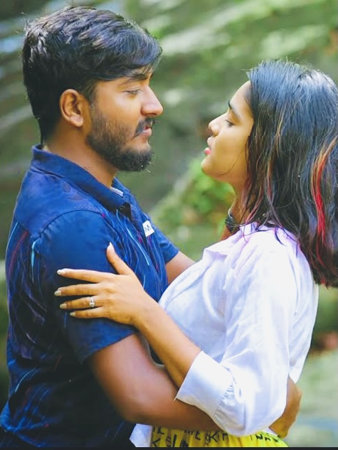 Parava