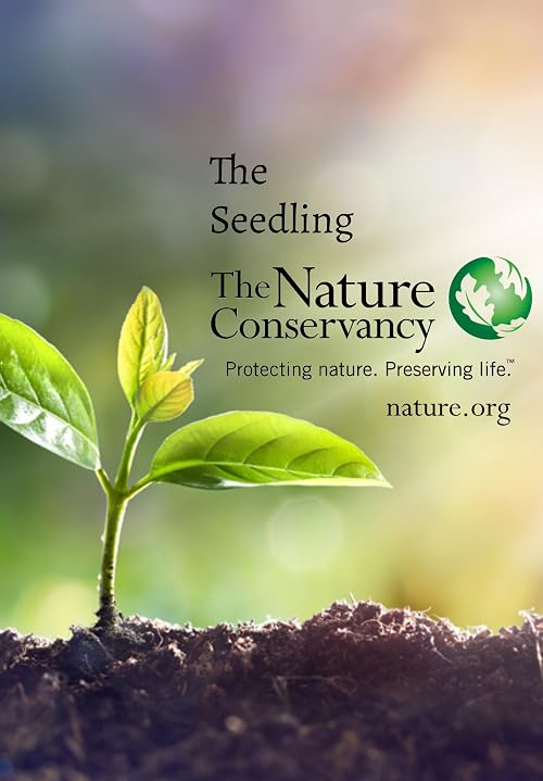 The Seedling