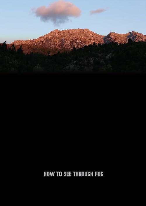 How to see through fog