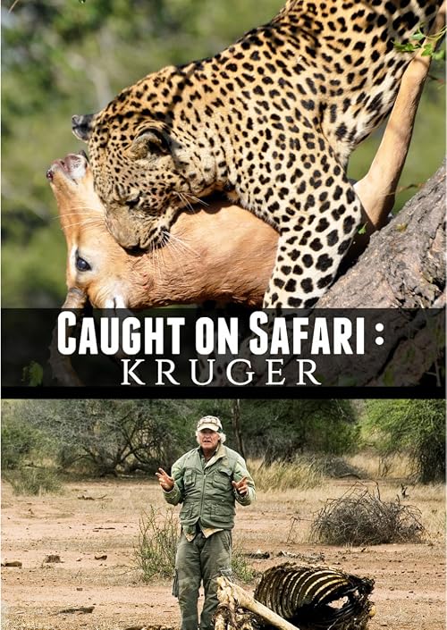 Kruger Safari