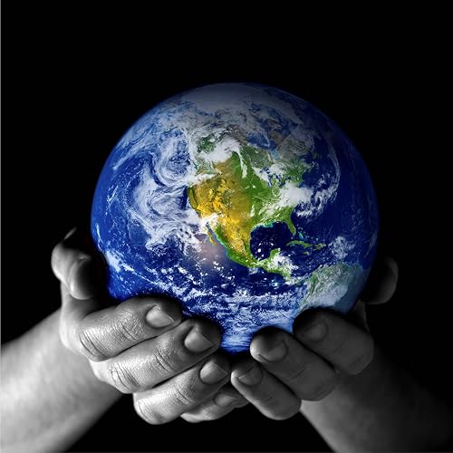 The Really? World