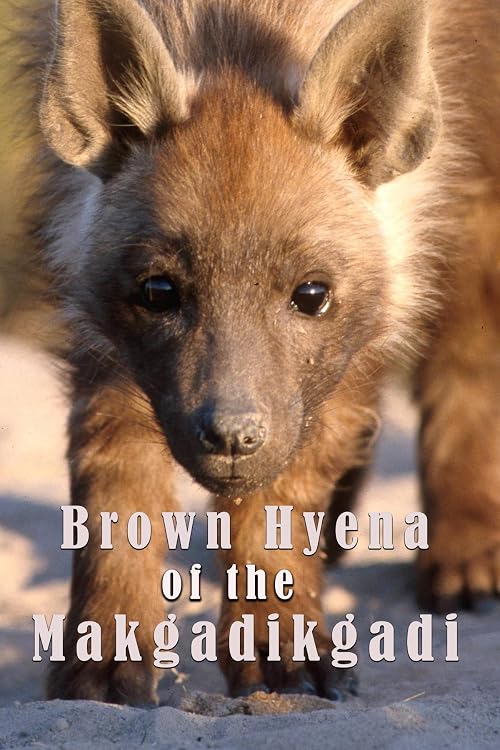 The Brown Hyena of Makgadikgadi