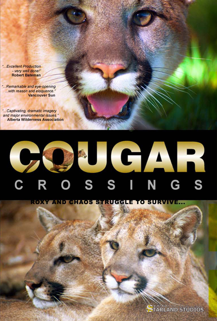 Cougar Crossings