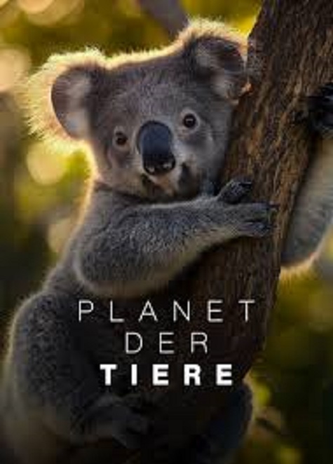 Planet der Tiere