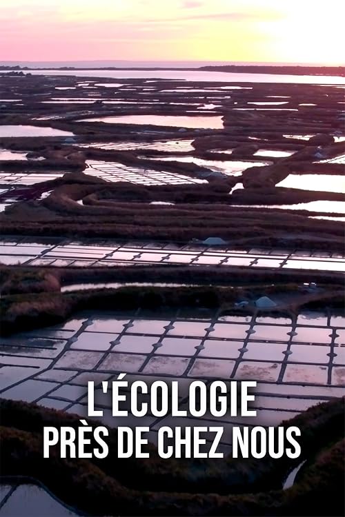 Ecologie près de chez nous