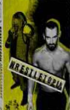 Beyond Wrestletopia
