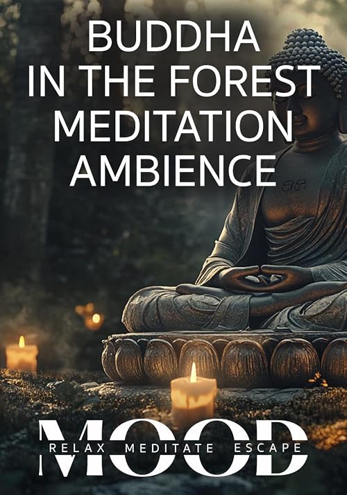 Buddha in the Forest Meditation Ambience: Mood - Relax, Meditate, Escape
