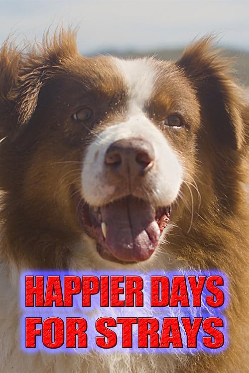 Happier Days for Strays