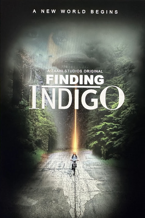 Finding Indigo
