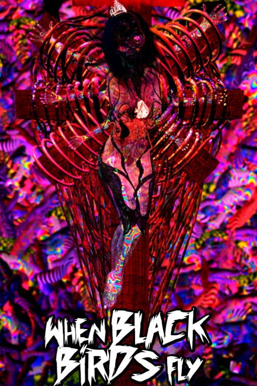When Black Birds Fly