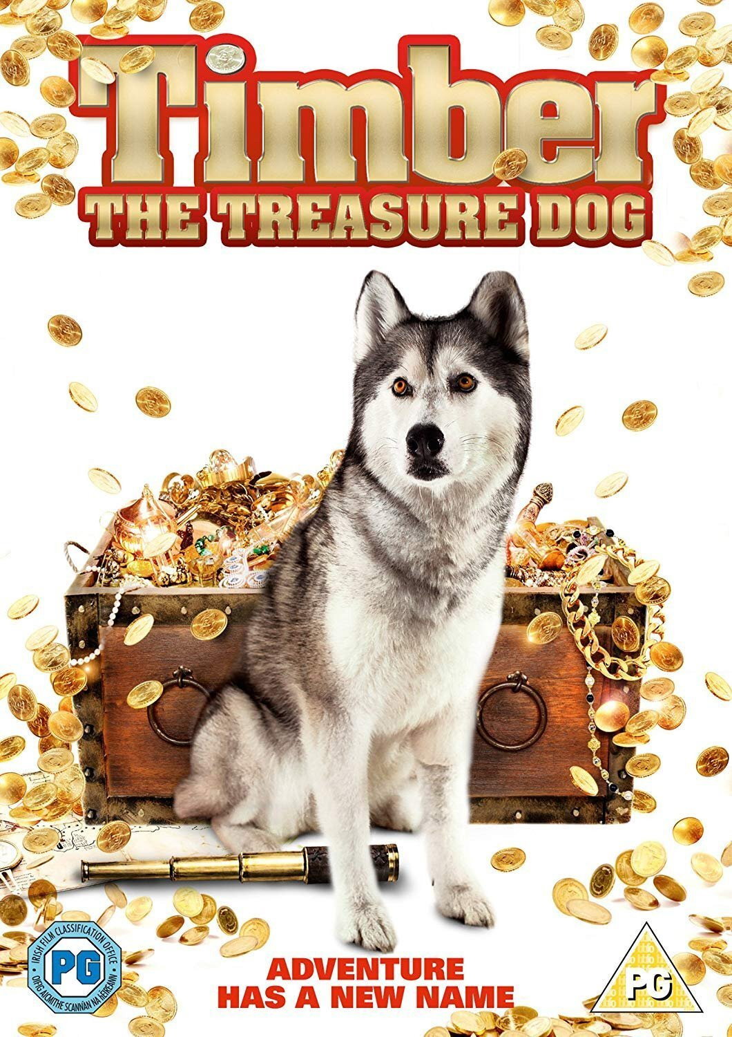 Timber the Treasure Dog
