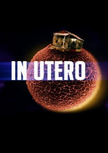 In Utero