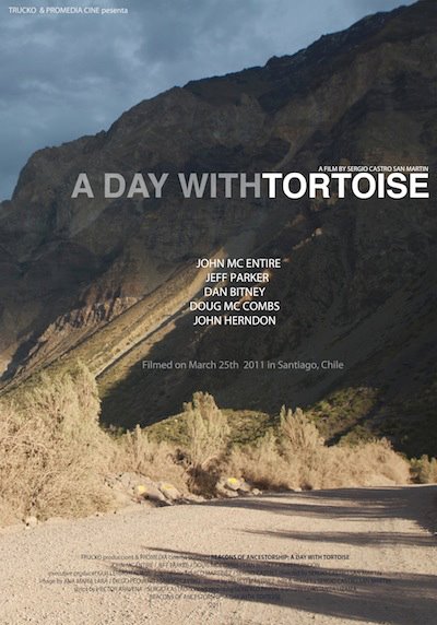 Un día con Tortoise