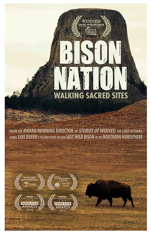 Bison Nation-Walking Sacred Sites