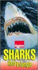 Sharks of the Red Triangle