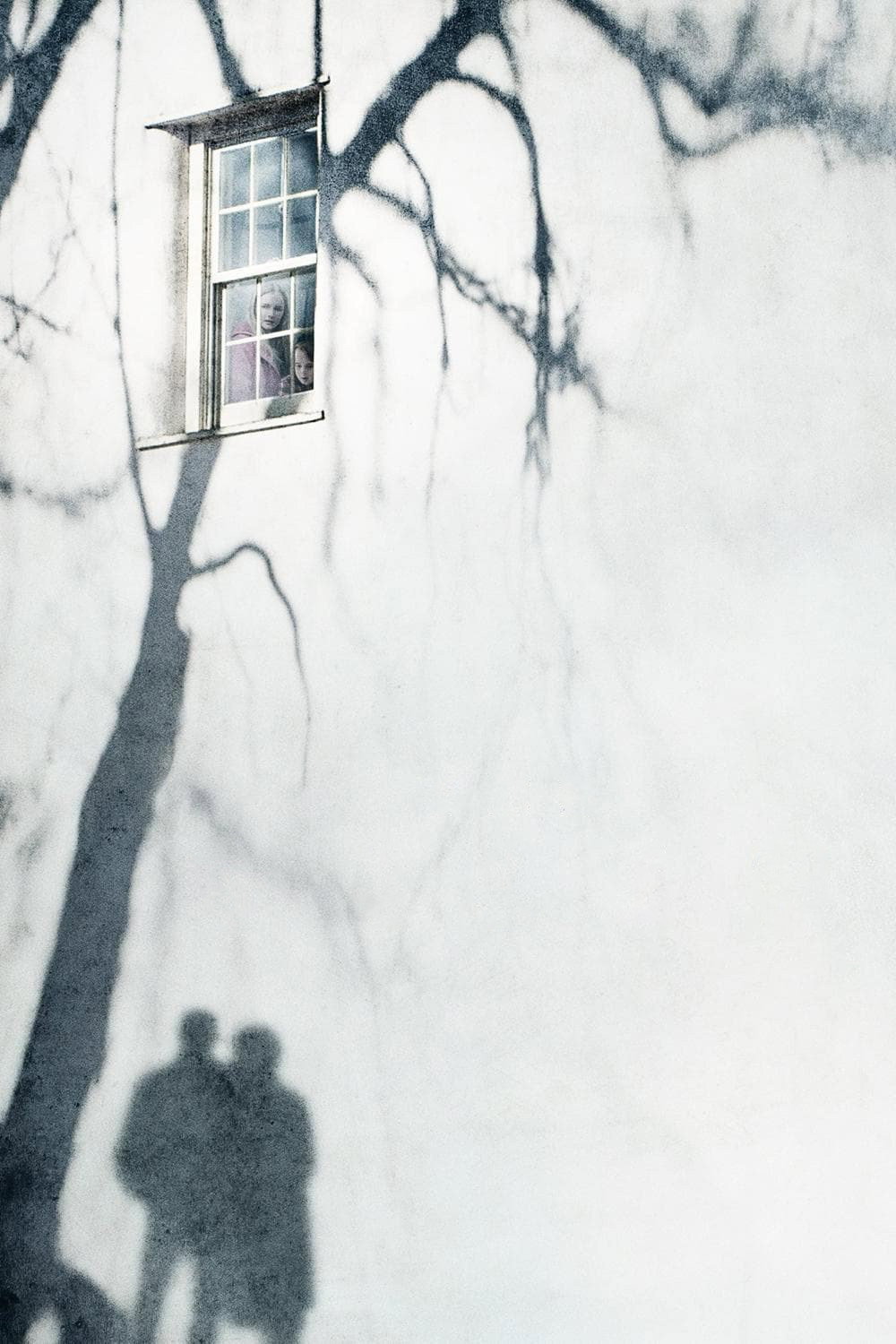 The Visit