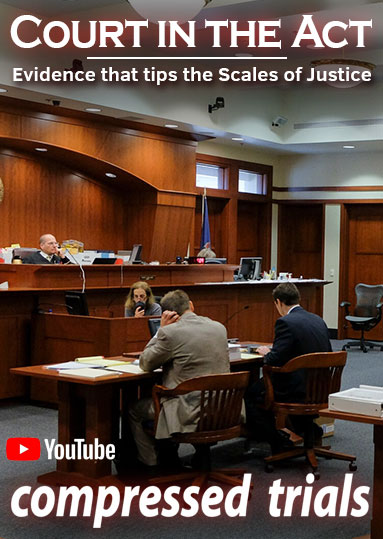 Court in the Act