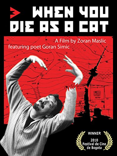 When You Die as a Cat