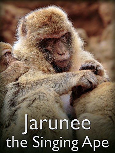 Jarunee the Singing Ape