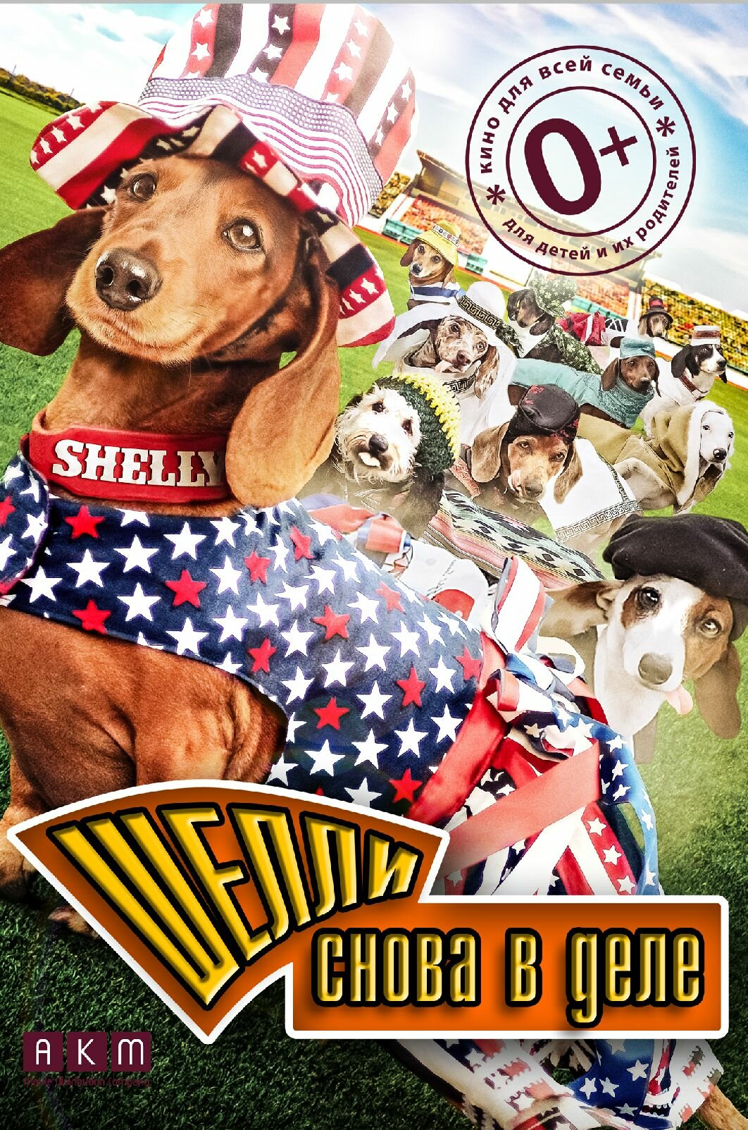Wiener Dog Internationals