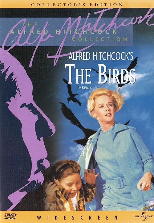 The Birds: Storyboard Sequence
