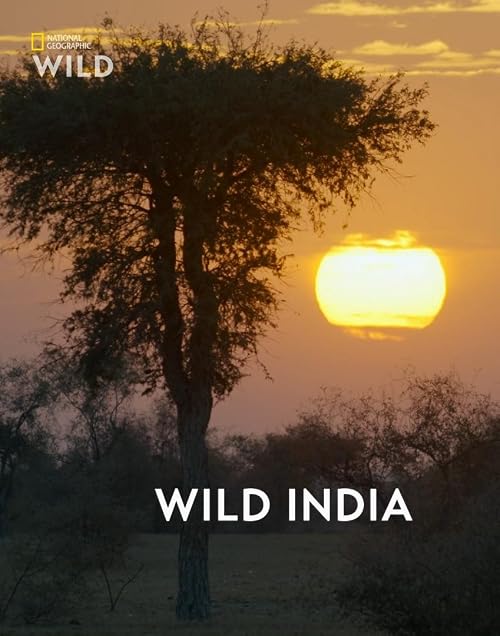 Wild India