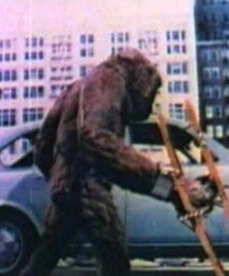 Volkswagen 411: King Kong