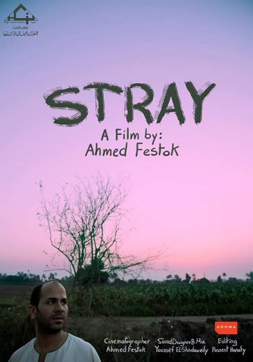 Stray