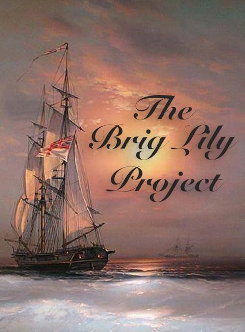 The Brig Lily Project