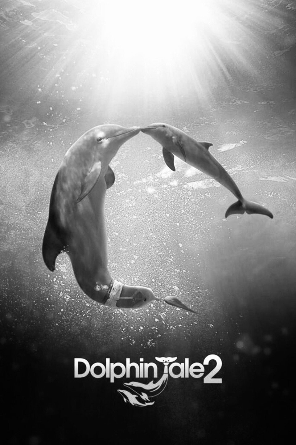 Dolphin Tale 2