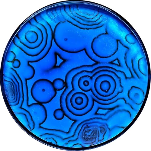 NileBlue