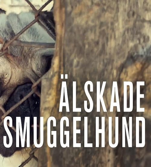 Älskade Smuggelhund
