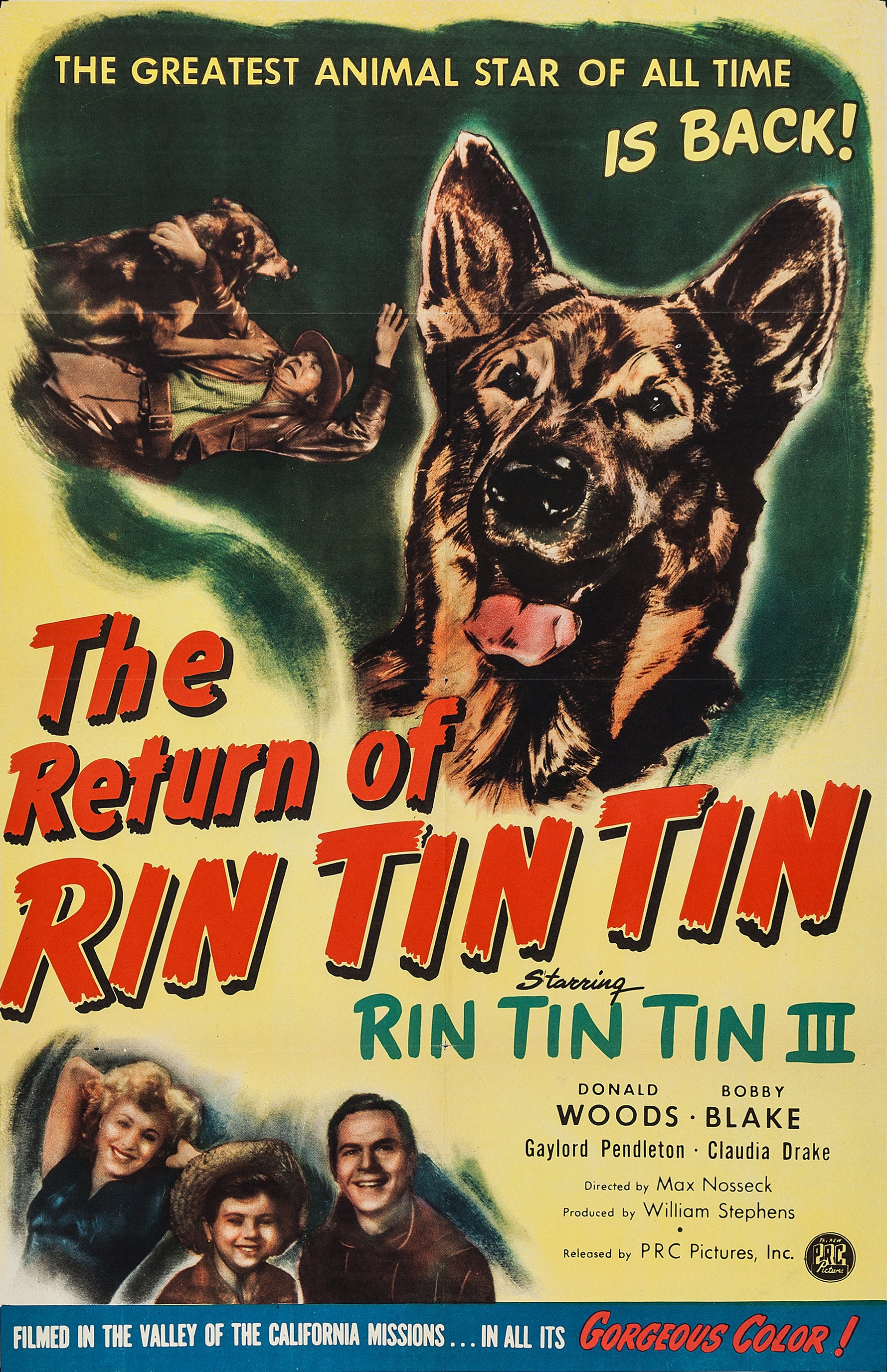 The Return of Rin Tin Tin
