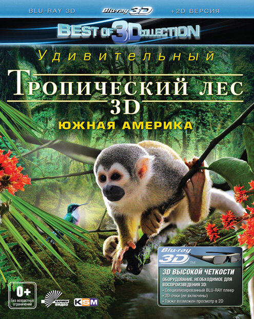 Тропический лес 3D
