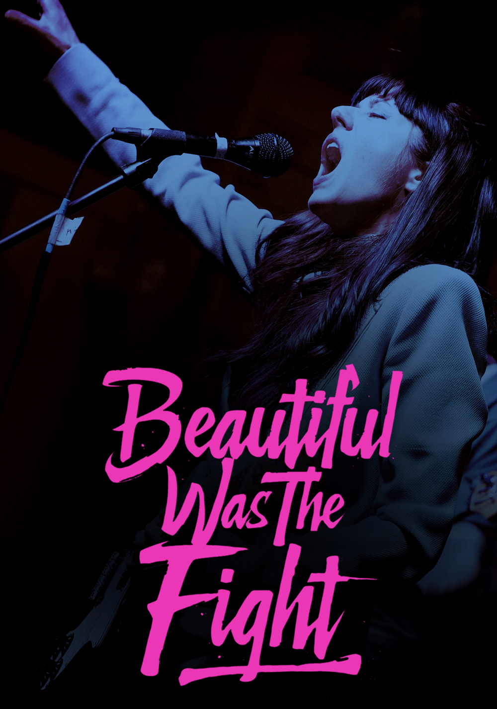 Beautiful Was the Fight