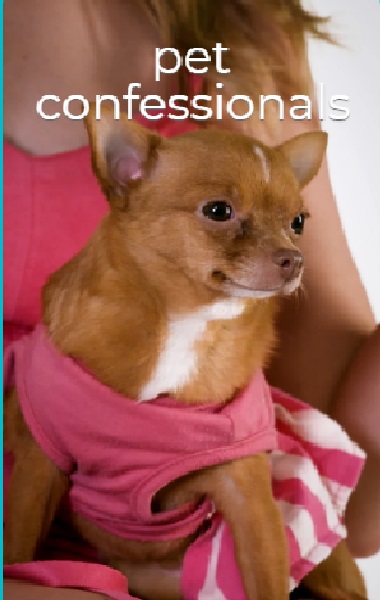 Pet Confessionals