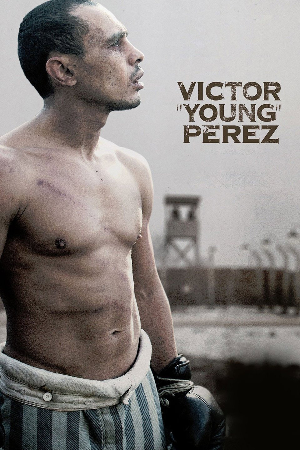 Der Boxer von Auschwitz