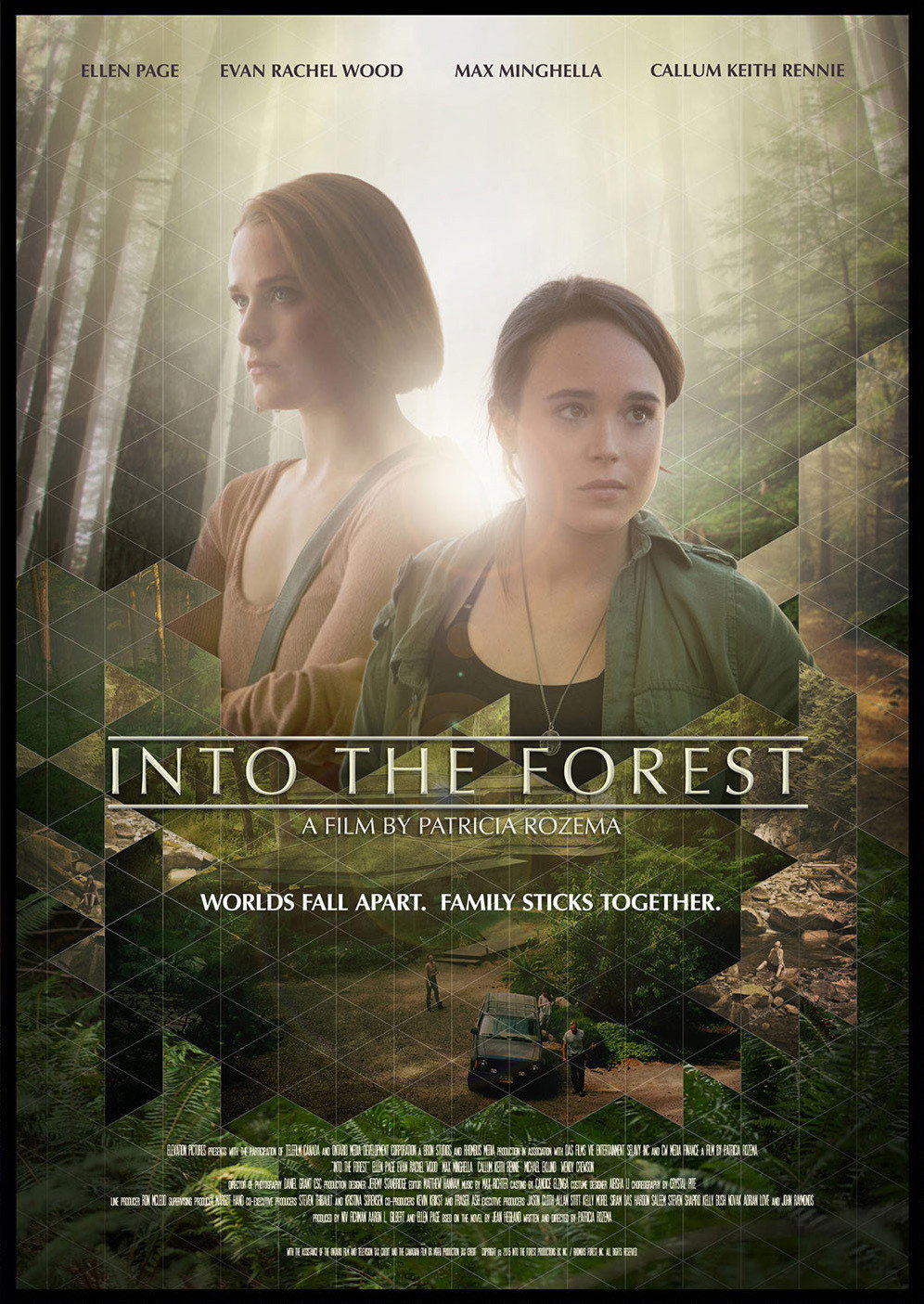 Into the Forest